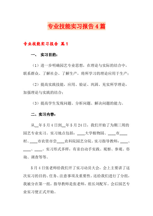 专业技能实习报告4篇