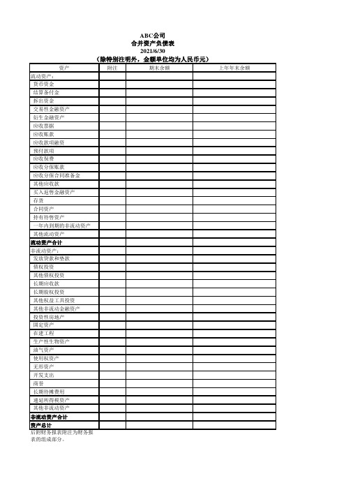 2021年新合并财务报表模板