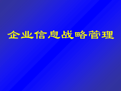 企业信息战略管理ppt课件