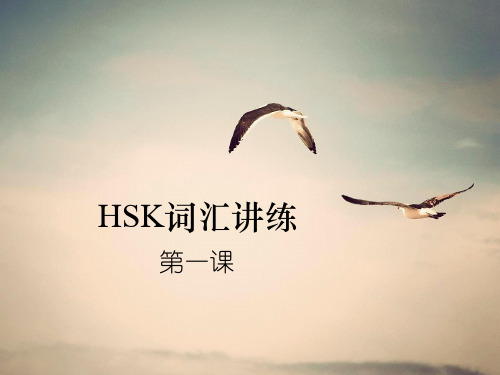 HSK词汇讲练