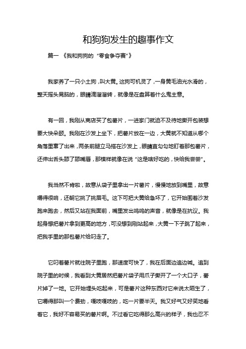 和狗狗发生的趣事作文