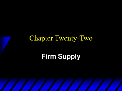 [北大微观经济学课件]Ch22 Firm Supply-文档资料