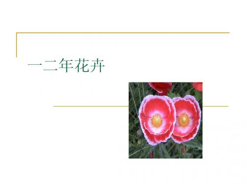 一二年花卉