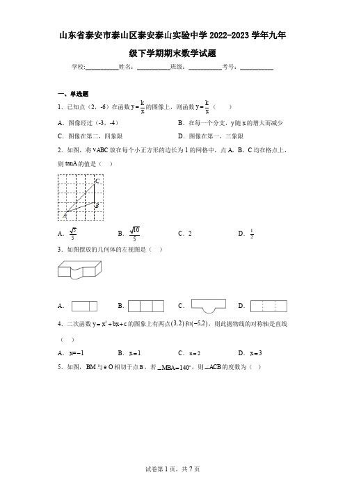 山东省泰安市泰山区泰安泰山实验中学2022-2023学年九年级下学期期末数学试题