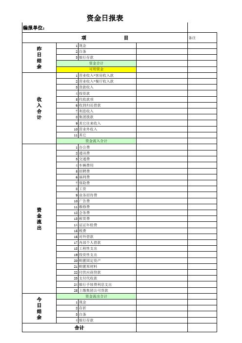 资金日报表格式