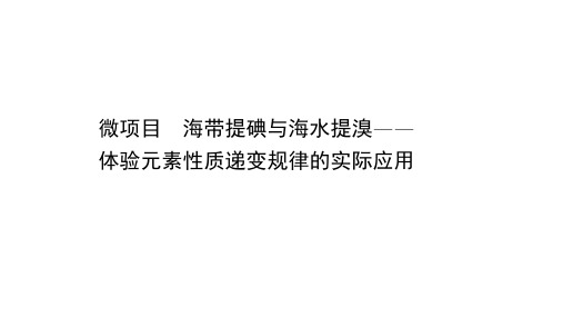 新鲁科版必修第二册 第1章微项目 海带提碘与海水提溴——体验元素性质递变规律的实际应用