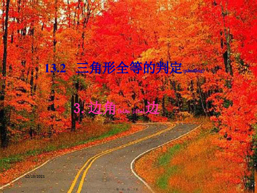 八年级数学上册 第13章 全等三角形 13.2 三角形全等的判定 第2课时 课件