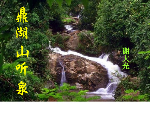 鼎湖山听泉_PPT