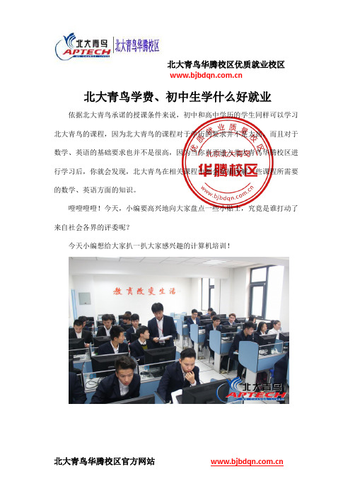 北大青鸟学费、初中生学什么好就业