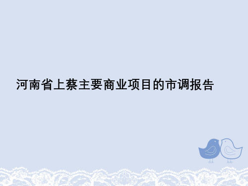 河南省上蔡主要商业项目市调报告