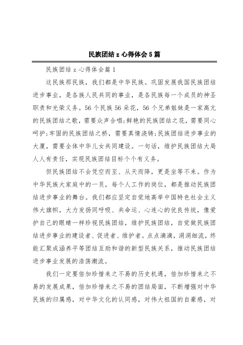 民族团结z心得体会5篇