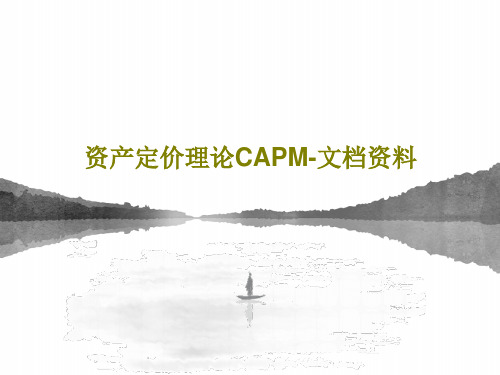 资产定价理论CAPM-文档资料共47页文档