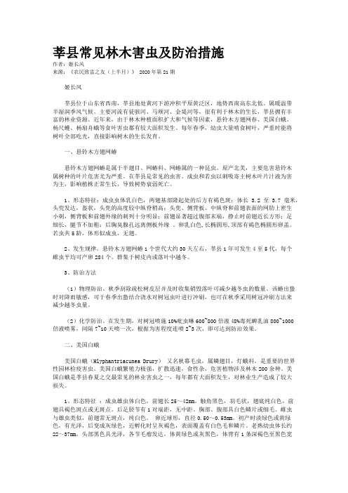 莘县常见林木害虫及防治措施