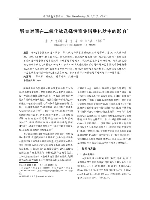 孵育时间在二氧化钛选择性富集磷酸化肽中的影响