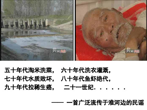 5.1生态工程的基本原理