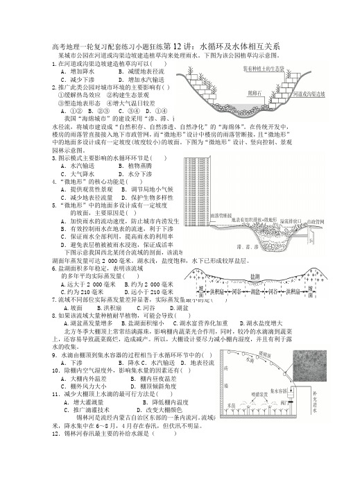 人教版2024年高考一轮复习地理考点《第12讲：水循环及水体相互关系》配套练习