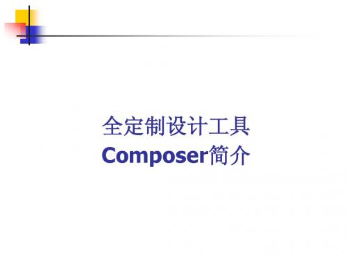 全定制设计工具Composer简介