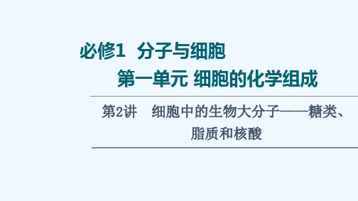 2022版高考生物一轮复习第1单元细胞的化学组成第2讲细胞中的生物大分子__糖类脂质和核酸课件苏教版