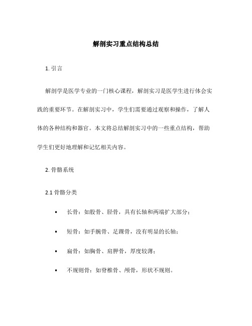 解剖实习重点结构总结