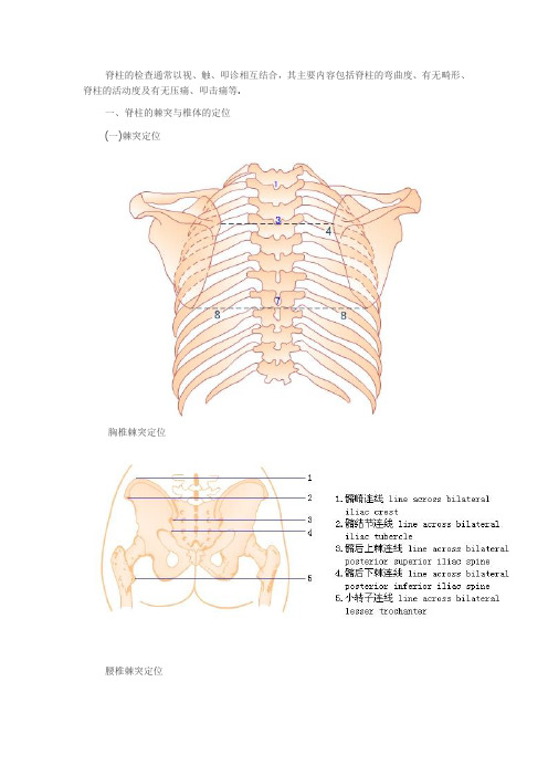 体格检查——脊柱检查2【范本模板】