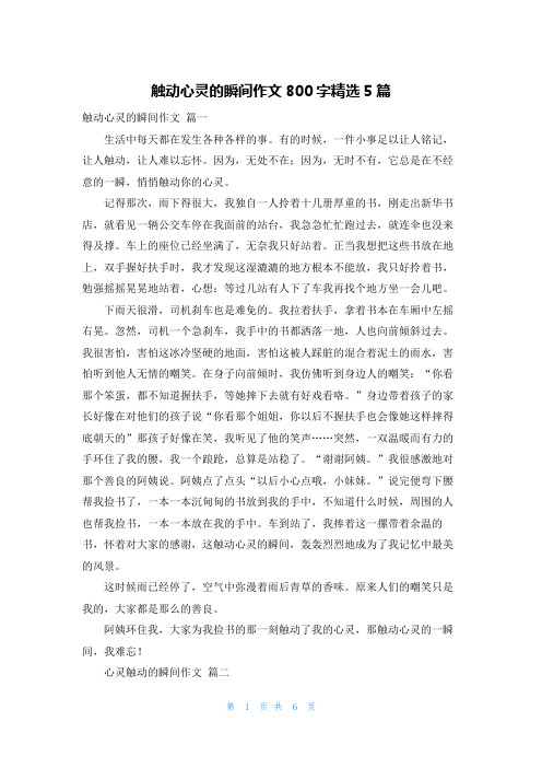 触动心灵的瞬间作文800字精选5篇