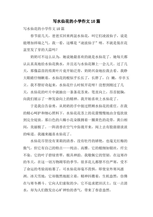 写水仙花的小学作文10篇