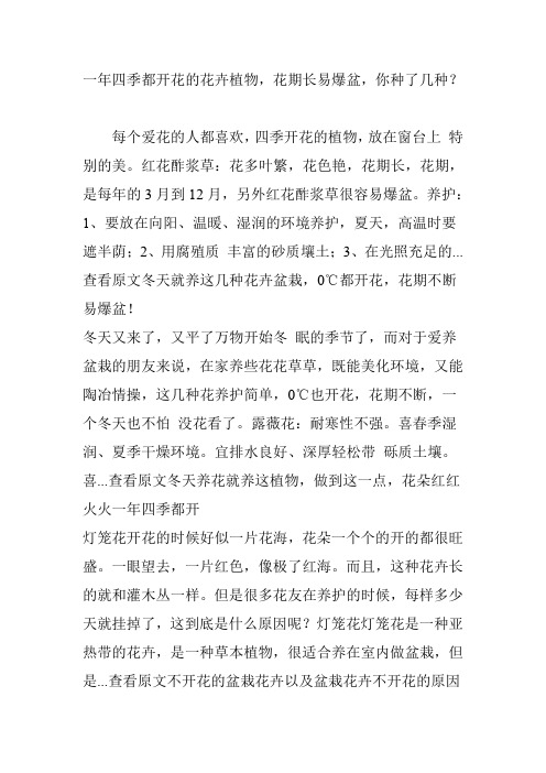 一年四季都开花的花卉植物,花期长易爆盆,你种了几种?