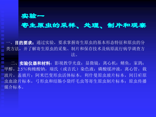 目的要求通过实验(精)