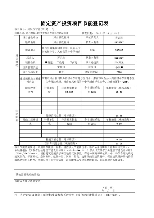 固定资产投资项目节能登记表 样表 