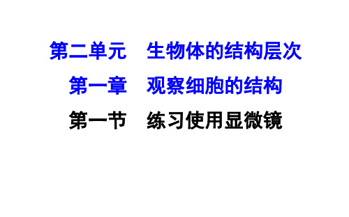 第一节练习使用显微镜课件鲁科版生物六年级上册