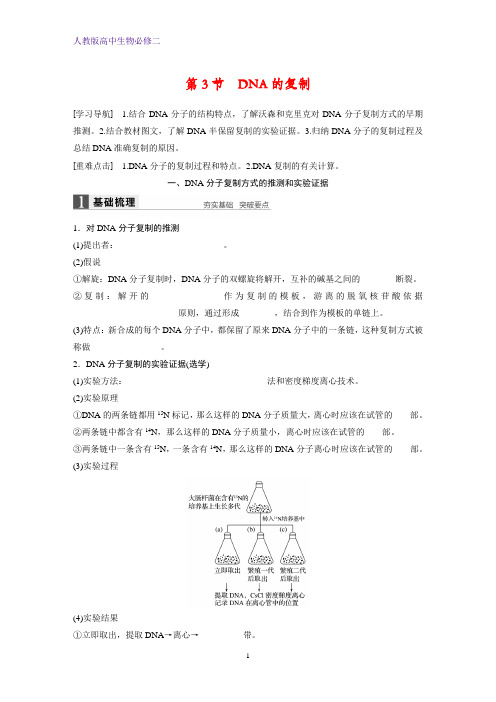 高中生物必修2精品学案：3.3DNA的复制 