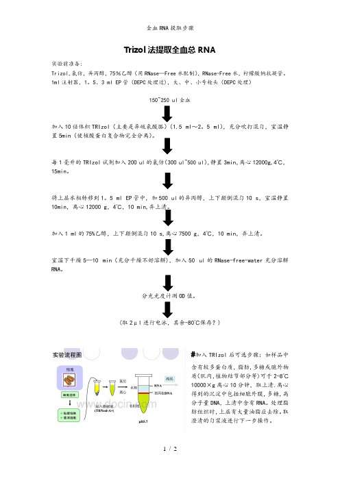 全血RNA提取步骤