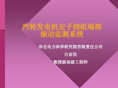 发电机定子绕组端部振动监测系统概要