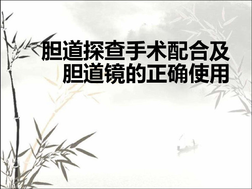 胆总管探查手术配合及胆道镜的正确使用-PPT