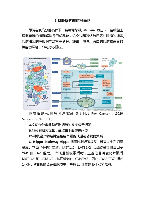 5条肿瘤代谢信号通路