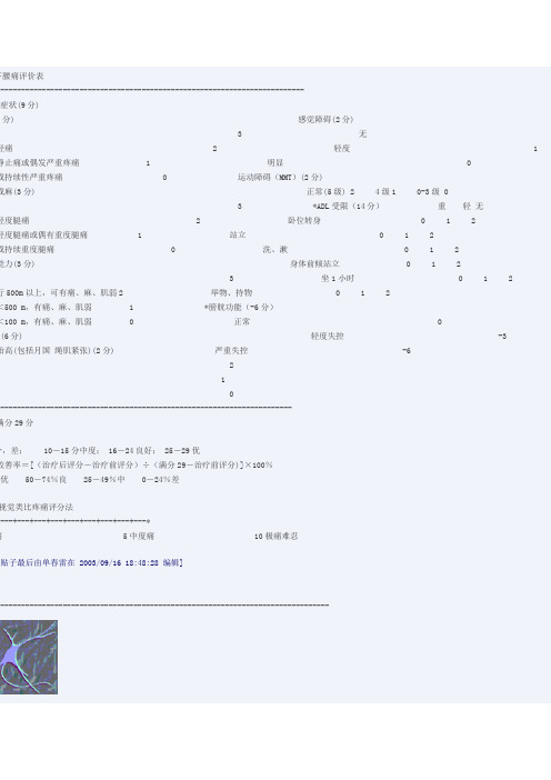 JOA下腰痛评价表