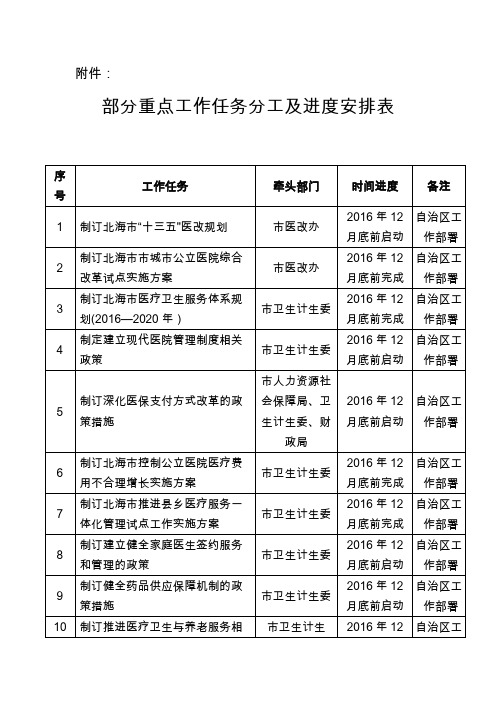 部分重点工作任务分工及进度安排表