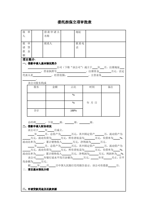 担保项目立项审批表模板