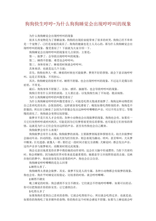 狗狗快生哼哼-为什么狗狗睡觉会出现哼哼叫的现象