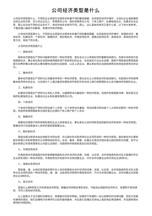 公司经济类型是什么