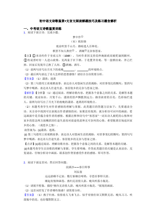 初中语文诗歌鉴赏+文言文阅读解题技巧及练习题含解析