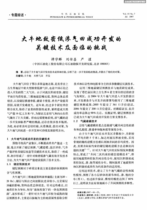 大牛地致密低渗气田成功开发的关键技术及面临的挑战