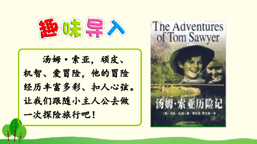 六年级下册语文课件-16 汤姆·索亚历险记 (共32张PPT)人教新课标