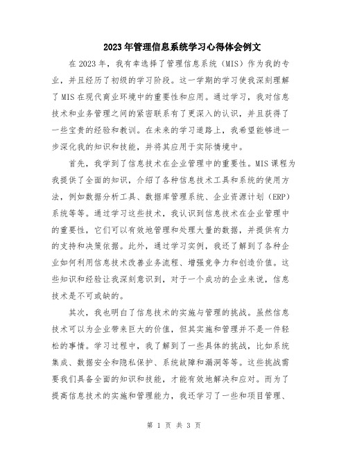 2023年管理信息系统学习心得体会例文