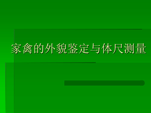 [农学]家禽的外貌鉴定与体尺测量