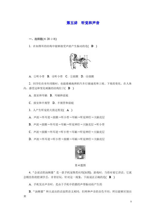 浙教版科学七年级下册期末复习精编习题：第五讲   听觉和声音(含答案)