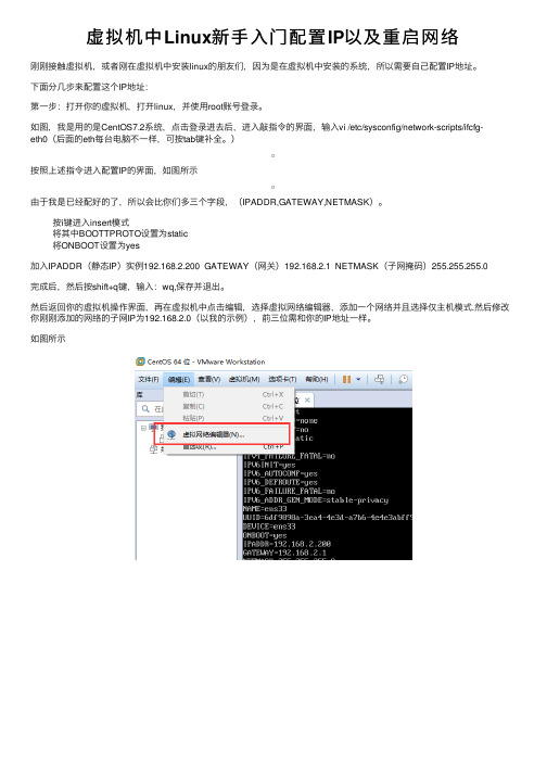 虚拟机中Linux新手入门配置IP以及重启网络