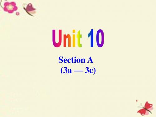 鲁教版英语九年Unit 5《You’re supposed to shake hands》(SectionA 3a-3c)ppt课件