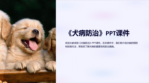 《犬病防治》课件