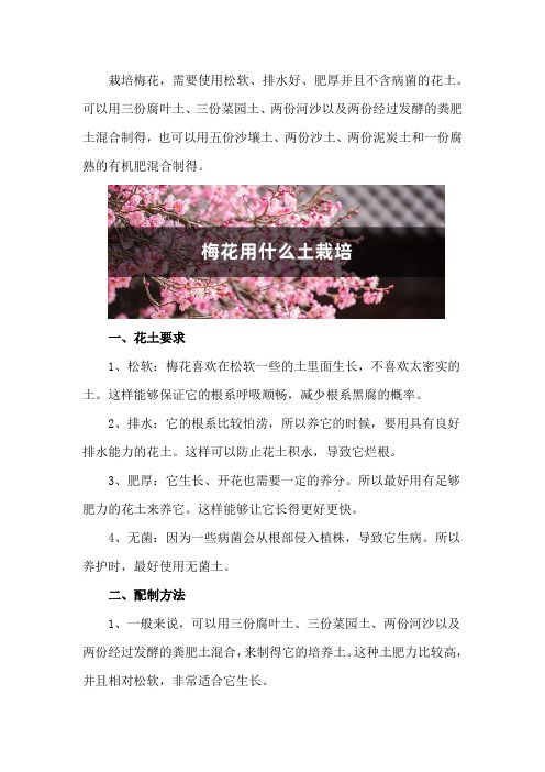 梅花用什么土栽培